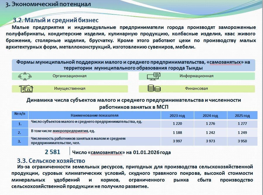 Экономический потенциал