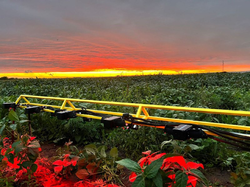 Разработанной амурскими инноваторами смарт-системой для борьбы с сорняками интересуются крупные сельхозпредприятия разных стран