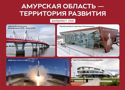 Дайджест расскажет в Совете Федерации об экономике Приамурья 