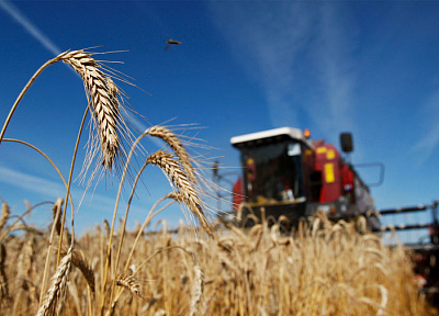 Правительство расширило поддержку агробизнеса на Дальнем Востоке